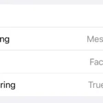 Cài đặt ứng dụng mặc định cho các chức năng gọi điện, email, tin nhắn và lọc cuộc gọi trên iPhone và iPad.