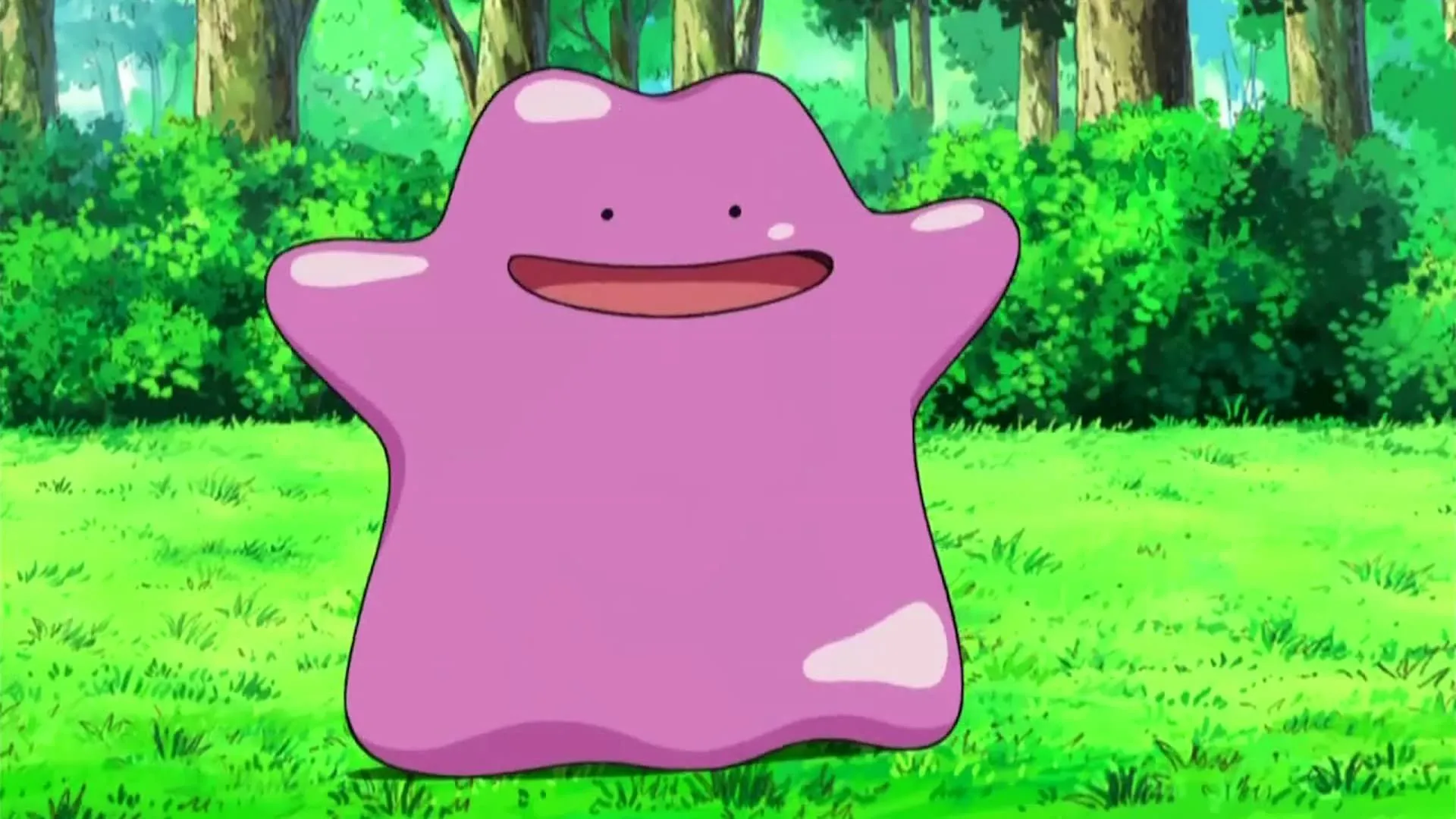 Ditto trong hình dạng cơ bản của nó, một Pokémon có khả năng biến hình thành bất kỳ sinh vật nào khác để giúp đỡ hoặc làm bạn.