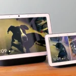 Hai thiết bị Google Nest Hub, nơi Fuchsia OS đang được triển khai và nhận các bản cập nhật quan trọng, minh họa sự tiến bộ của hệ điều hành.
