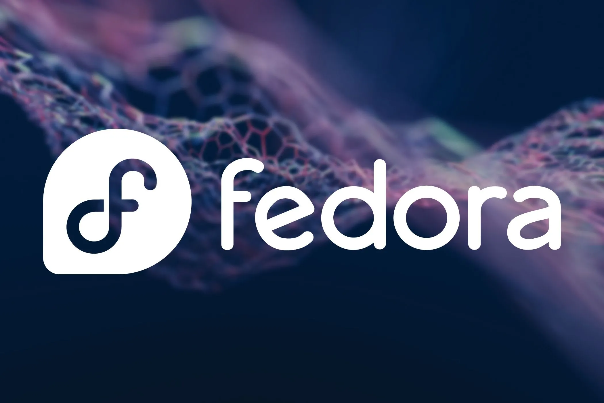 Logo Fedora Linux màu xanh trên màn hình máy tính xách tay, đại diện cho bản beta Fedora 42 với môi trường desktop COSMIC