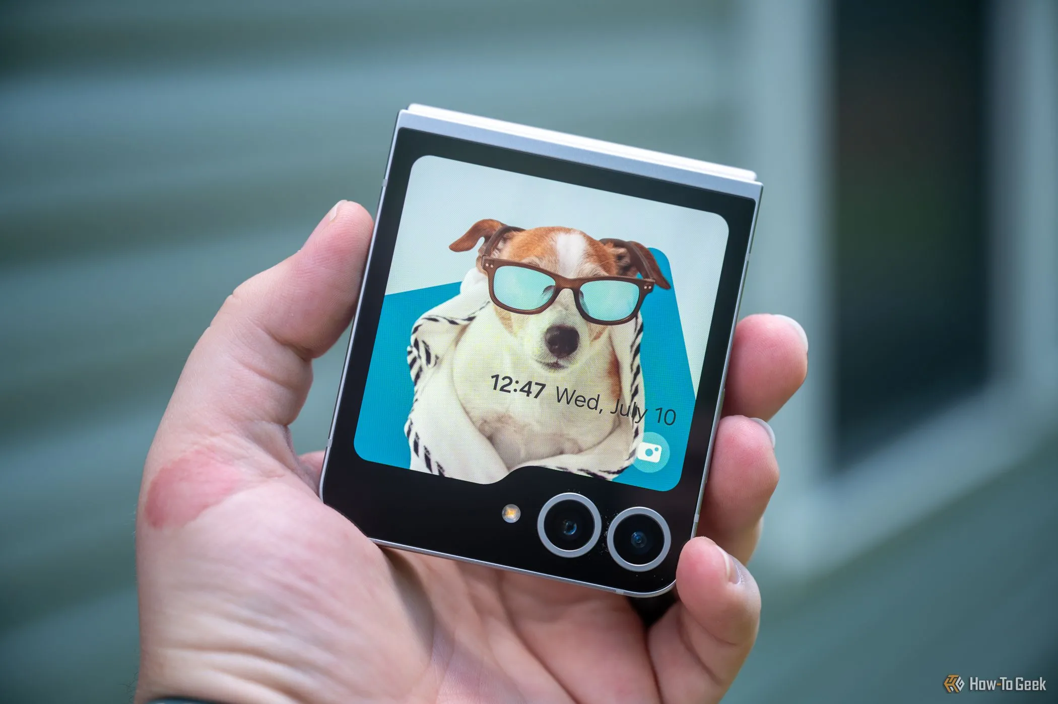 Màn hình ngoài FlexWindow của Samsung Galaxy Z Flip hiển thị hình ảnh chú chó đeo kính ngộ nghĩnh, minh họa khả năng tùy biến đa dạng của điện thoại gập vỏ sò.