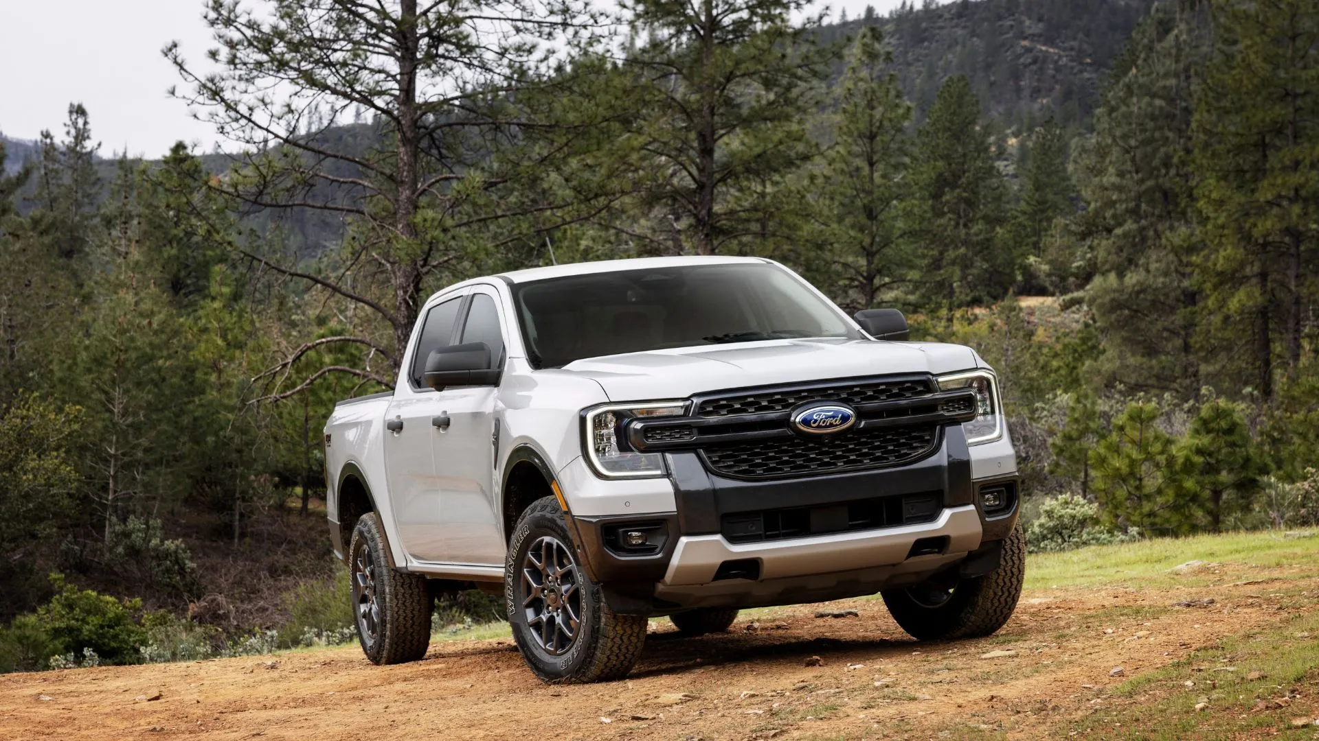 Một chiếc xe bán tải Ford Ranger XLT Sport màu trắng đời 2024 đang đỗ trên bãi cỏ, phía sau là cây cối xanh tươi, thể hiện thiết kế mạnh mẽ và linh hoạt của dòng xe này.