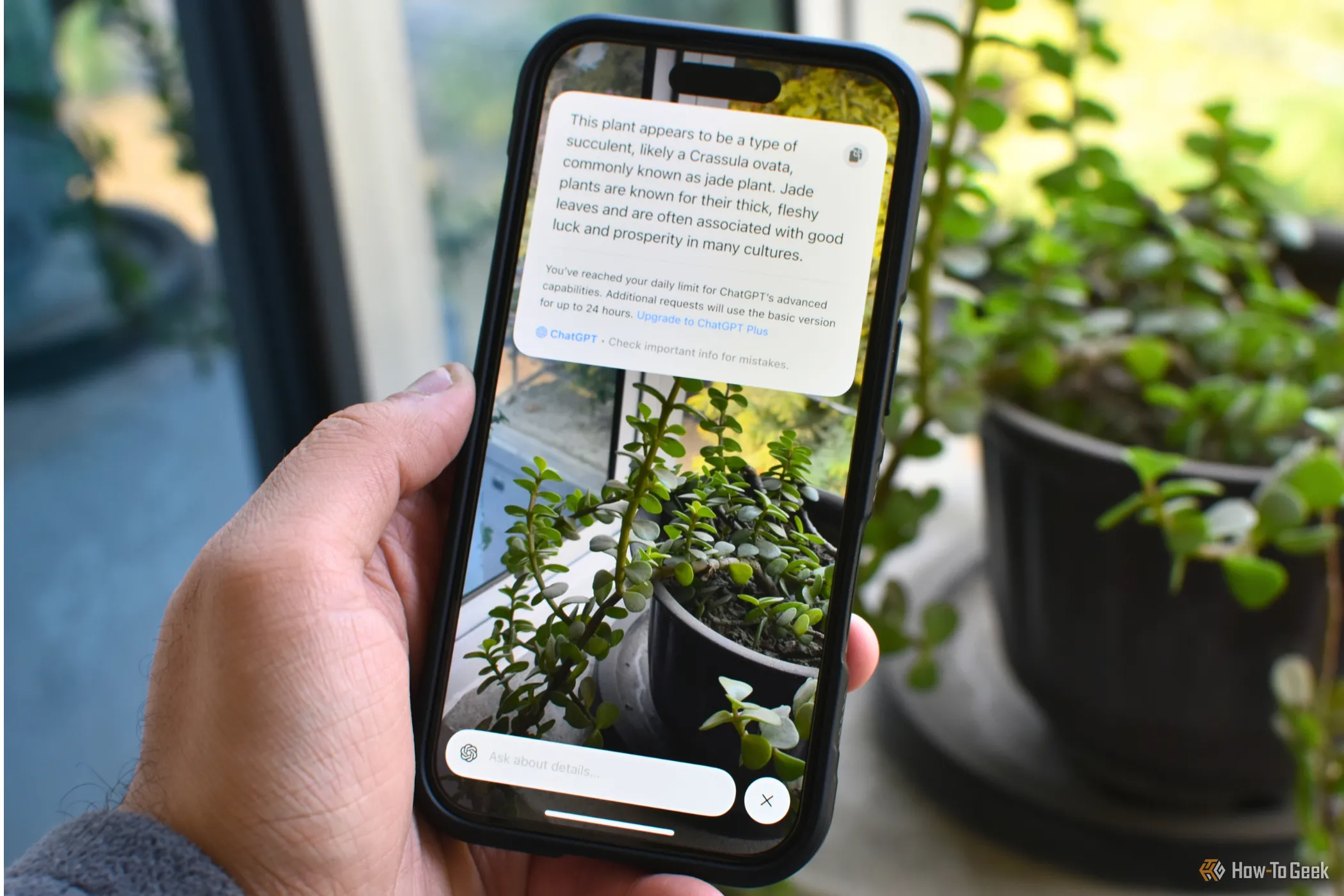 Tính năng Apple Intelligence Visual Intelligence đang hoạt động trên màn hình iPhone, cho thấy khả năng AI tiên tiến của các mẫu Pro và iPhone 16.