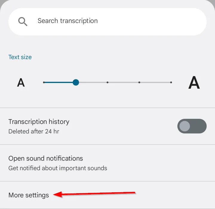 Tùy chọn 'Cài đặt khác' trong menu Live Transcribe để truy cập các thiết lập nâng cao.