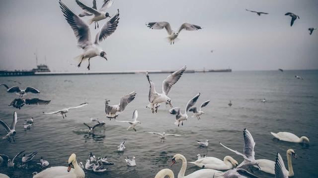 Kinh nghiệm 5 năm làm content creator — Bài học xương máu